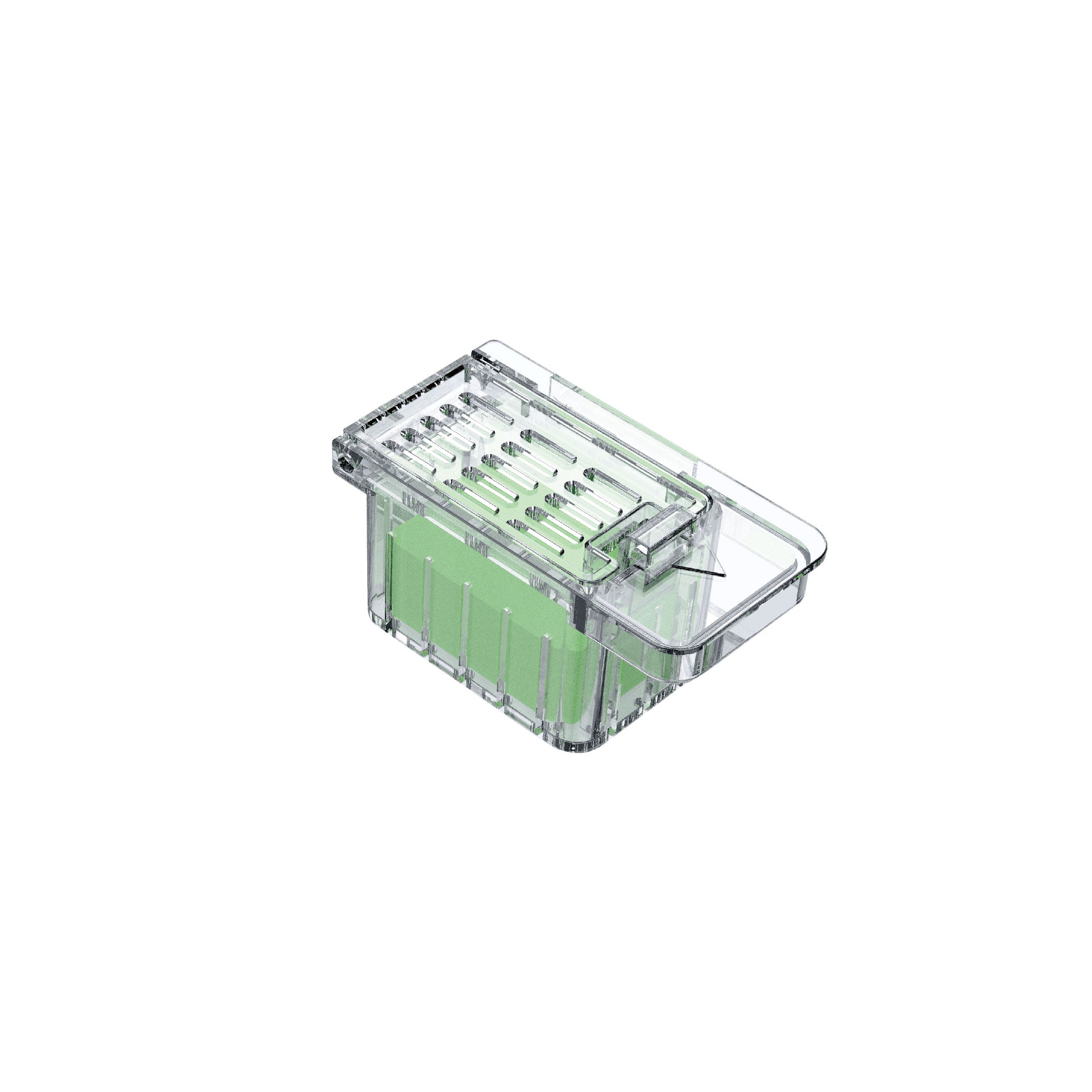 Transparent plastic box with green foam insert and ventilated clear lid